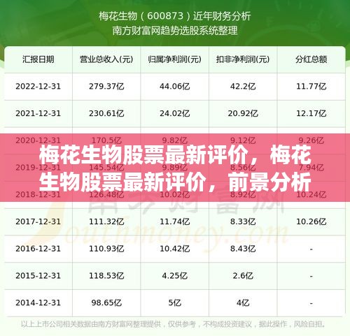 梅花生物股票最新评价及前景分析，投资考量与策略探讨