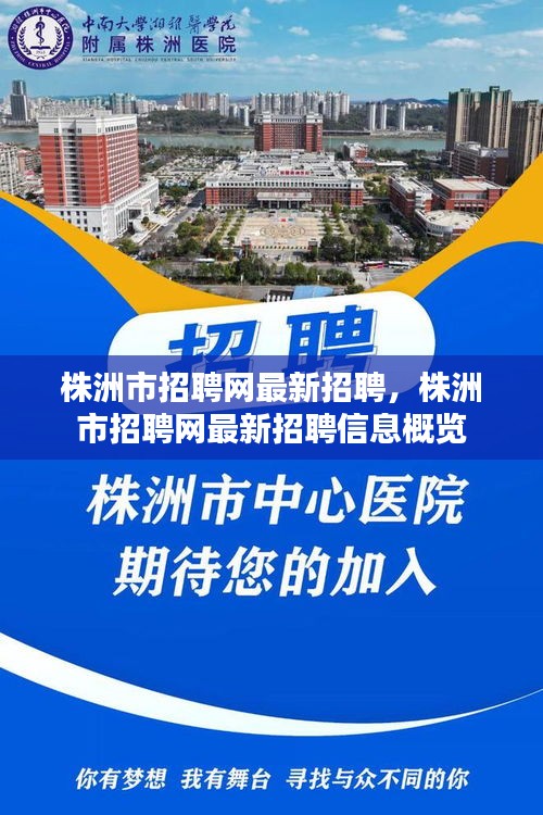 株洲市招聘网最新招聘信息概览与招聘动态更新通知