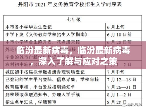 临汾最新病毒深度解析与应对策略