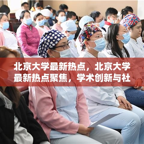 北京大学学术创新与社会影响力聚焦，最新热点探讨