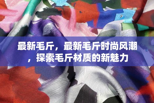 最新毛斤时尚风潮，探索材质新魅力，引领时尚风潮