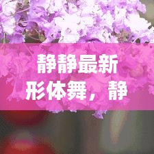 静静最新形体舞，舞动之美与身心健康的和谐融合