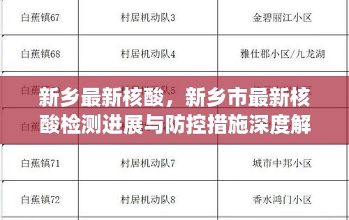 新乡市最新核酸检测进展及防控措施深度解析报告