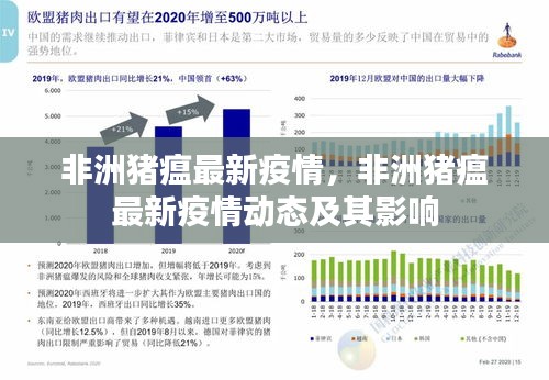 非洲猪瘟最新疫情动态与影响概述