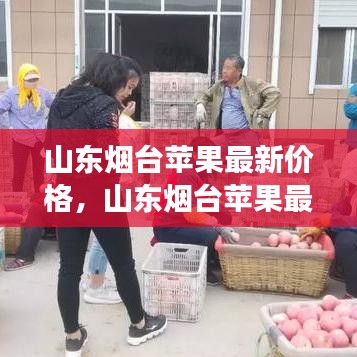 山东烟台苹果最新价格动态与趋势分析，市场走势及价格分析