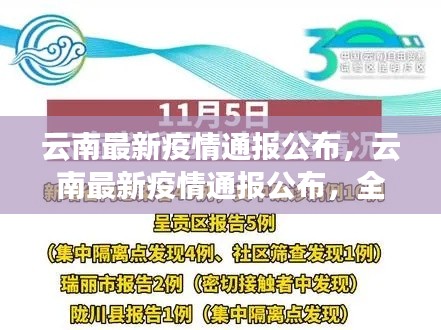 云南最新疫情通报公布，全面防控与积极应对举措揭秘