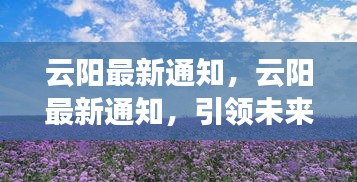 云阳最新通知发布，引领未来发展的关键动态与公告