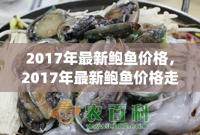 2017年鲍鱼价格走势深度解析，市场供需与价格波动探讨