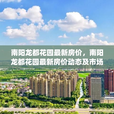 南阳龙都花园最新房价动态与市场趋势深度解析