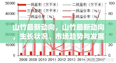 山竹最新动态，生长状况、市场趋势与发展前景展望