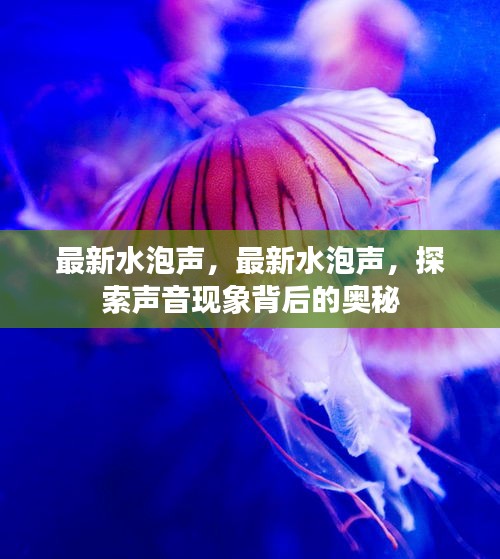 探索水泡声背后的奥秘，最新声音现象研究揭秘