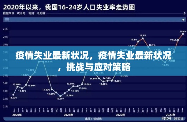 疫情失业最新状况，挑战、应对策略及失业者的现实困境