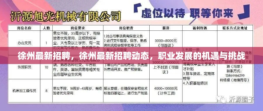 徐州最新招聘动态及职业发展机遇与挑战概览