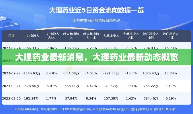 大理药业最新消息与动态概览