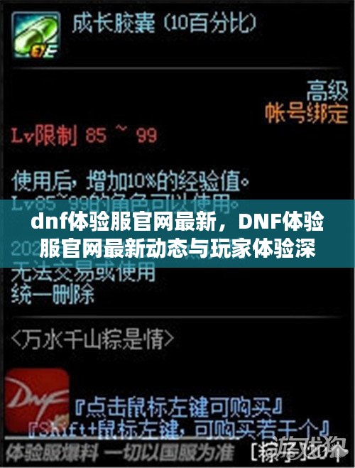 DNF体验服官网最新动态，深度探讨与玩家体验分享