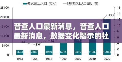 普查人口最新数据揭示的社会发展脉络，数据变化与最新消息一览