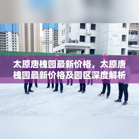 太原唐槐园最新价格及深度解析报告