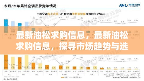 最新油松求购信息及市场趋势解析与选购策略指南