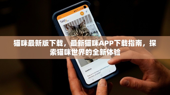 最新猫咪APP下载指南，探索猫咪世界的全新体验