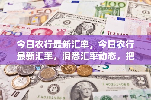 今日农行最新汇率动态，洞悉金融脉搏，把握汇率变化