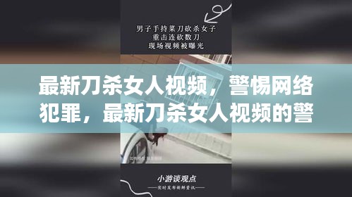 网络犯罪警示，最新刀杀女人视频的反思与警惕