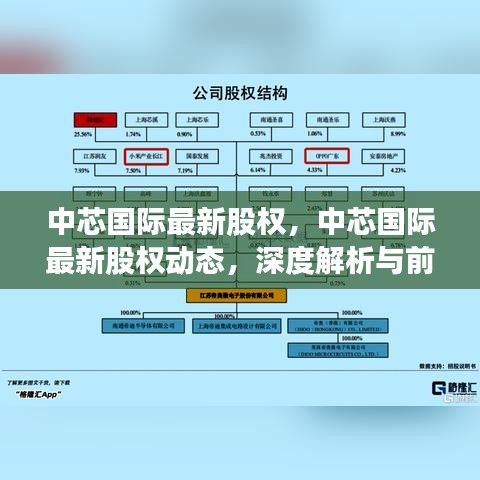 中芯国际最新股权动态深度解析及前景展望，股权变革与未来发展展望