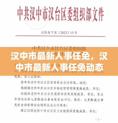 汉中市人事任免最新动态，人事变动及分析影响