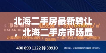 北海二手房市场最新动态解析，转让趋势与策略解读