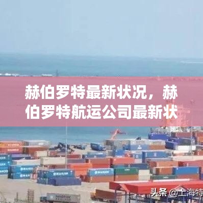 赫伯罗特航运公司最新状况深度分析