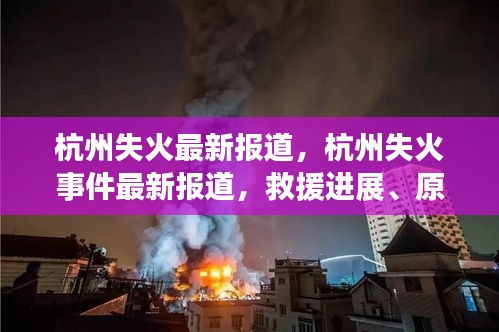 杭州失火事件最新报道，救援进展、原因调查与后续安置工作更新