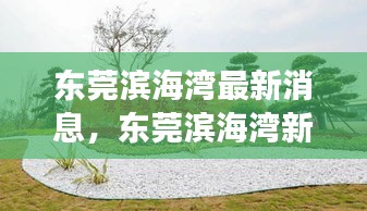 东莞滨海湾新区最新发展动态与消息揭秘，揭秘最新消息与发展动态