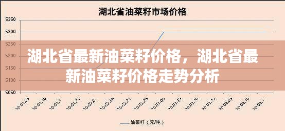 湖北省油菜籽最新价格及走势分析