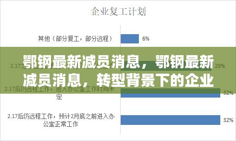 鄂钢减员消息，转型背景下的企业人力资源调整策略探索