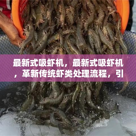 革新传统虾处理流程，最新式吸虾机引领行业智能化新时代