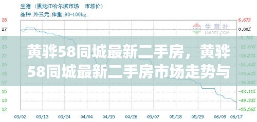 黄骅58同城最新二手房市场概览与购房指南