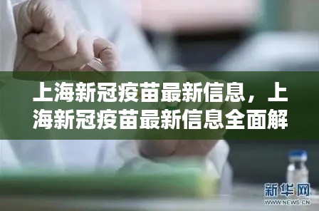 上海新冠疫苗最新信息全面解读与更新