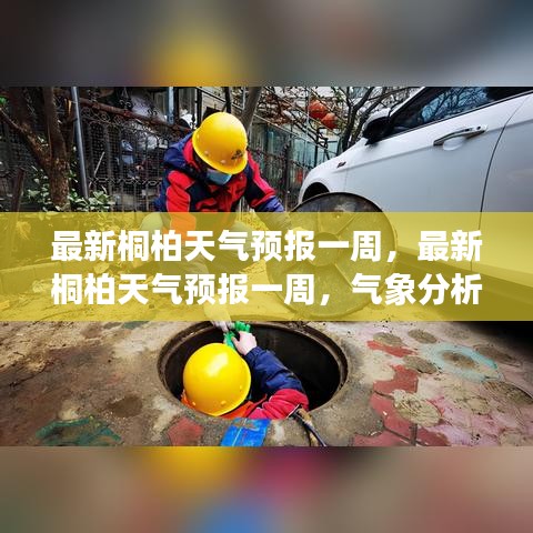 桐柏天气预报一周，气象分析与生活建议及最新预报信息