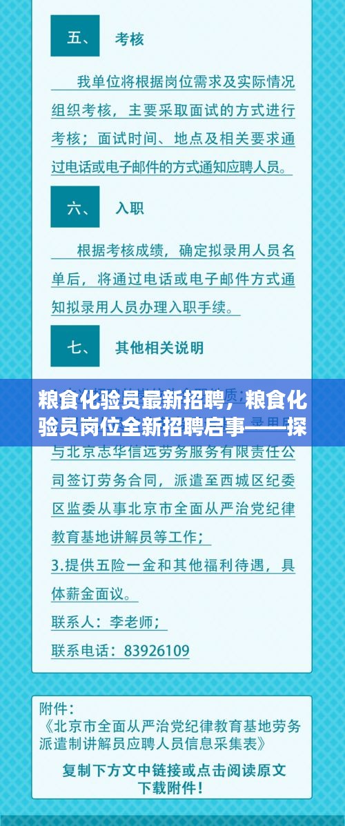 粮食化验员岗位全新招聘启事，探寻专业精英，共筑食品安全防线防线之梦