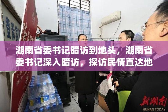 湖南省委书记深入探访民情纪实，以人民为中心的发展理念实践见闻