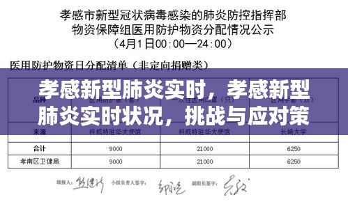 孝感新型肺炎实时状况，挑战与应对策略更新报告