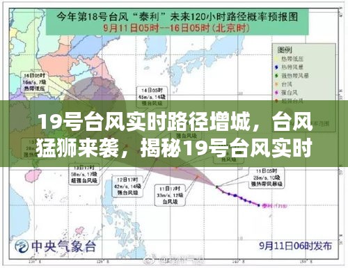 揭秘，台风猛狮来袭，增城如何应对与追踪台风实时路径动态