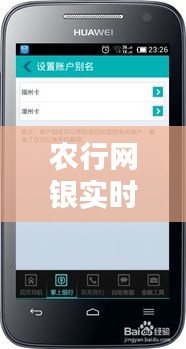 农行网银实时牌价，掌握金融动态，领先财富先机