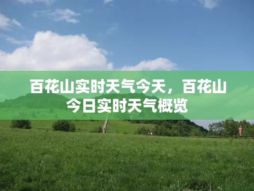 百花山今日实时天气概览及最新天气预报