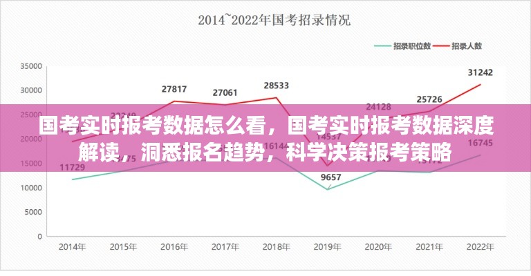 国考实时报考数据解析，洞悉报名趋势，科学决策报考策略深度解读