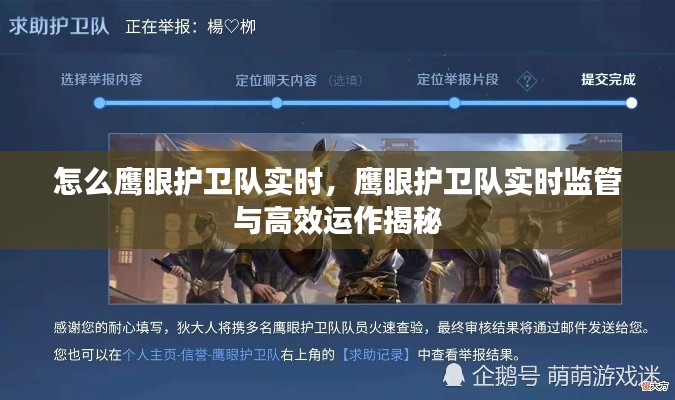 鹰眼护卫队实时监管与高效运作揭秘，守护公正与公平的神秘力量