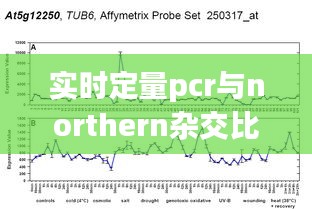 实时定量PCR与Northern杂交比较，技术特点及应用前景探讨