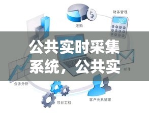 公共实时采集系统，应用与发展概述