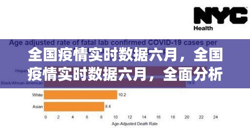 全国疫情实时数据六月分析，全面解读、应对策略与未来展望