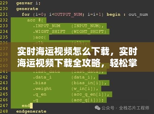 实时海运视频下载全攻略，轻松掌握下载方法与技巧