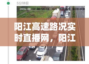 阳江高速路况实时直播网，轻松掌握路况信息，便捷出行必备参考